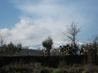 cantara piccole gole19022012 023